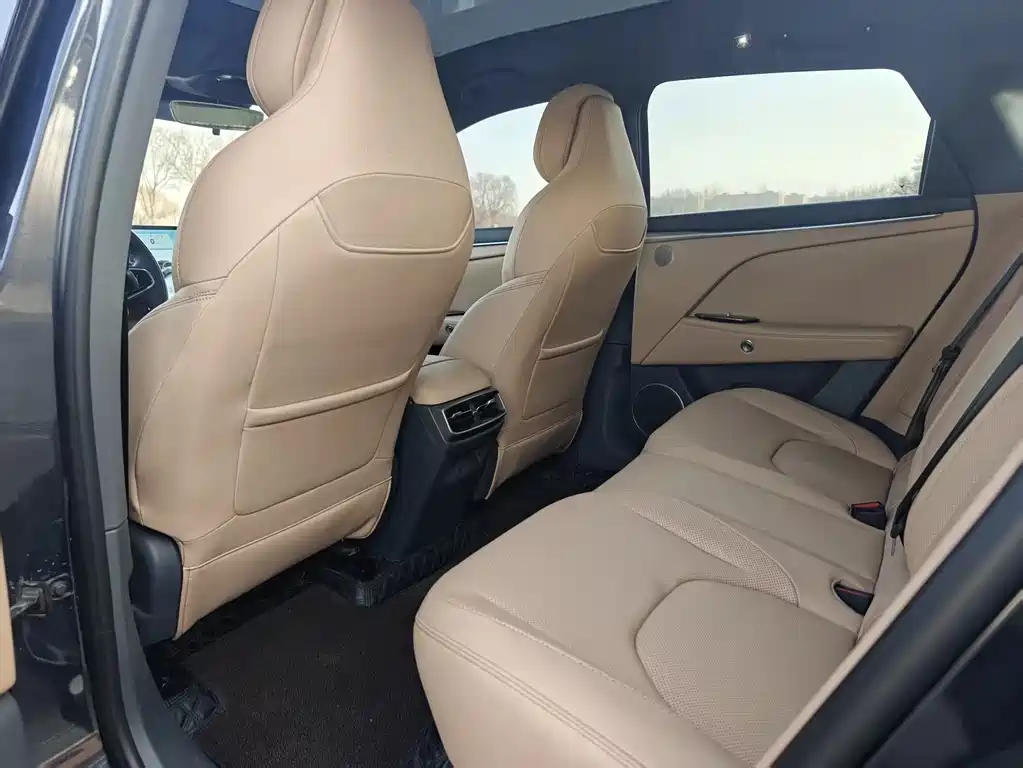 ARCFOX EXTREME FOX POLAR FOX ALPHA T5