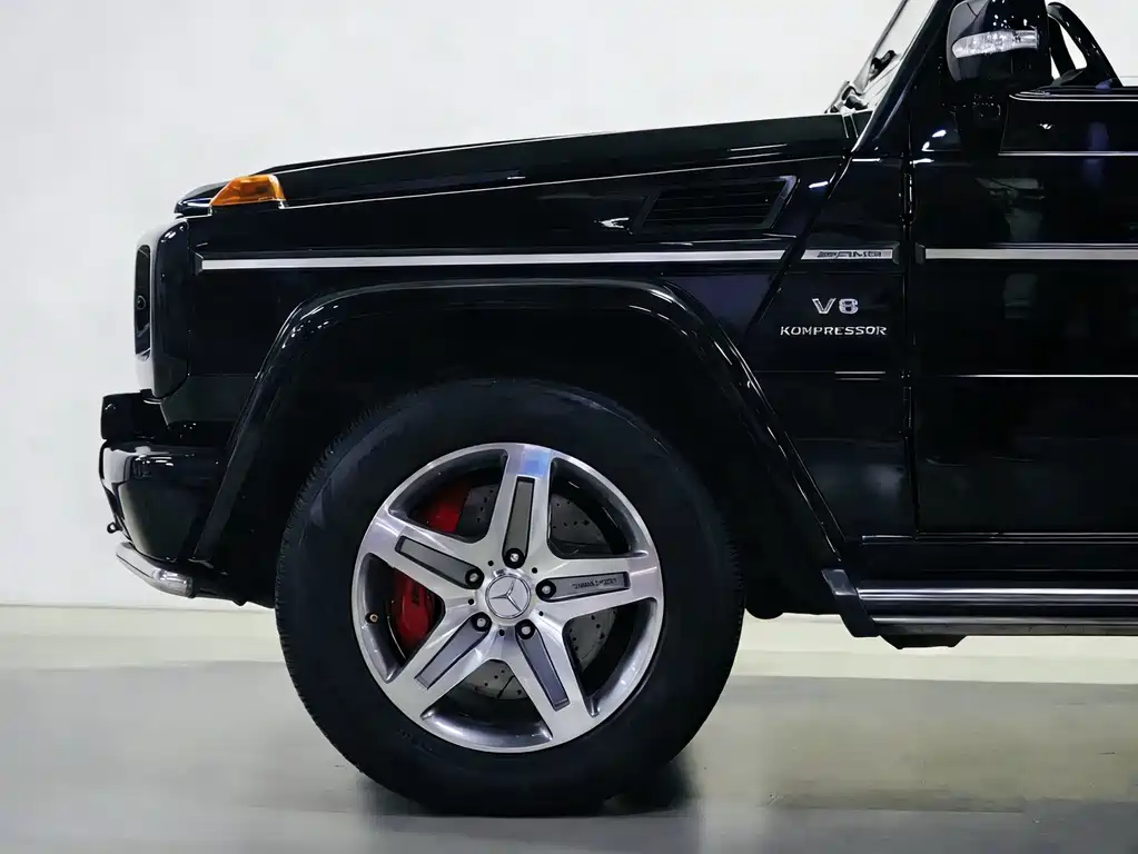 Mercedes-Benz G-Class A MG G AMG 2009 AMG G 55