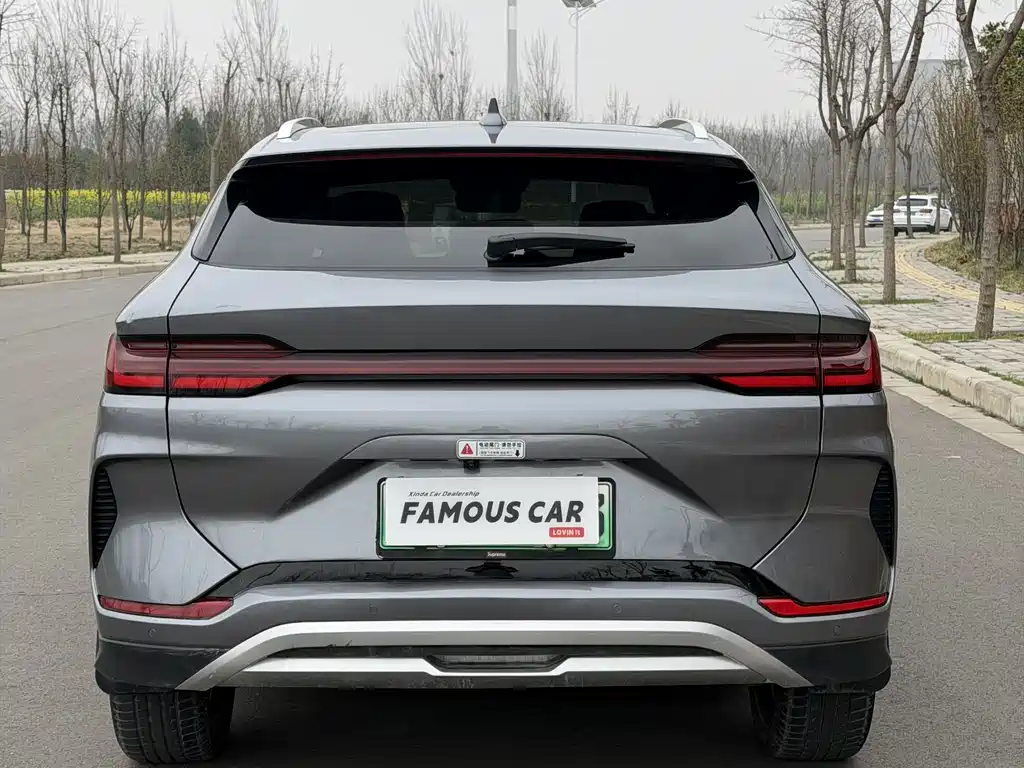 BYD SONGJIANG NEW ENERGY