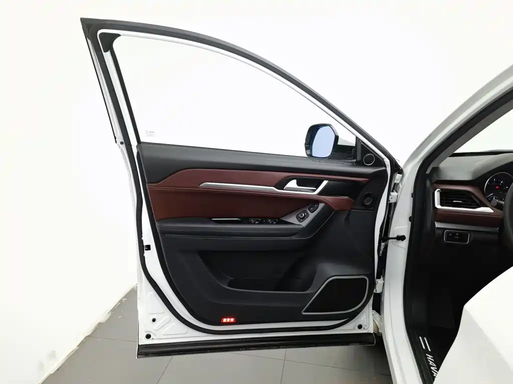 Haval H6 Coupe — миниатюра 8