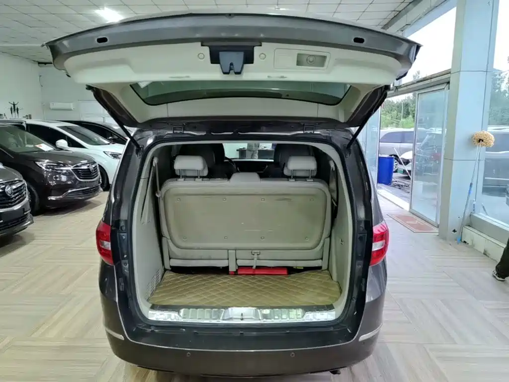 Buick GL8 — миниатюра 19