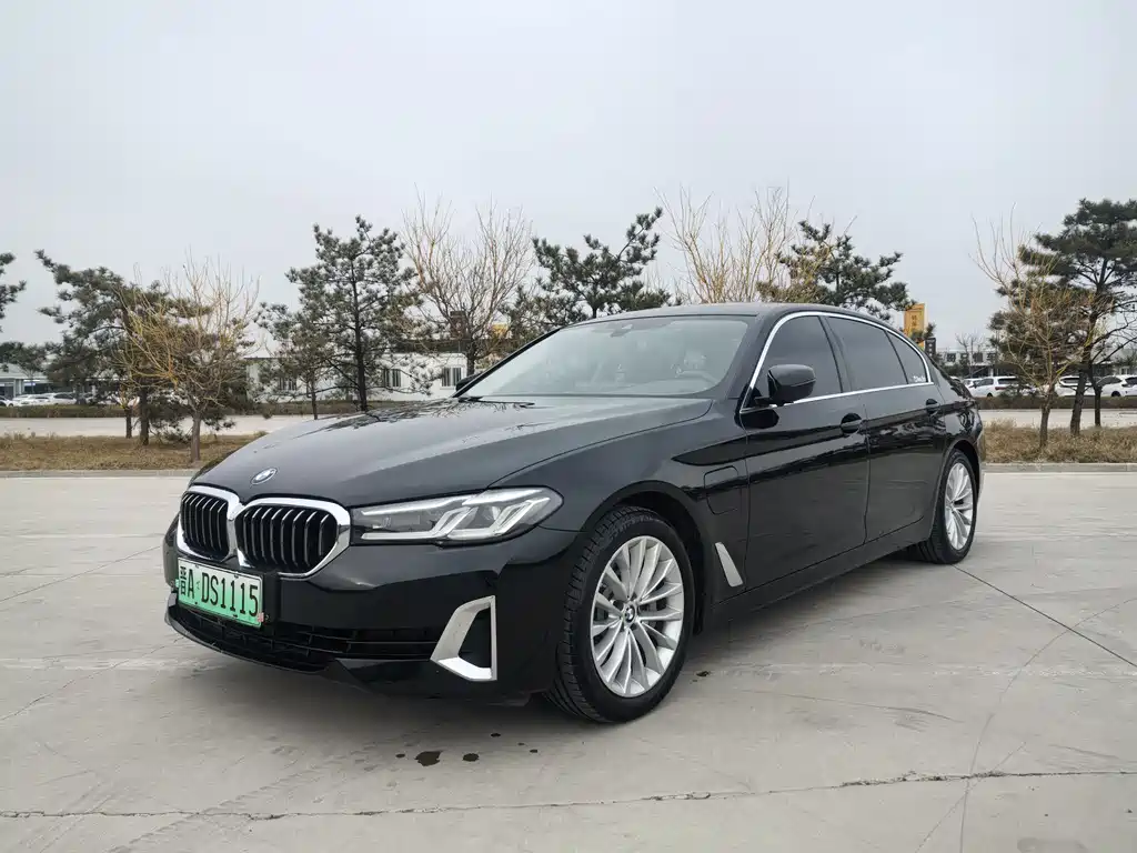 BMW 5 Series New Energy 2021