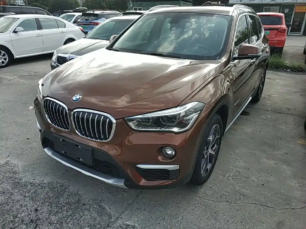 BMW X1 — миниатюра 2