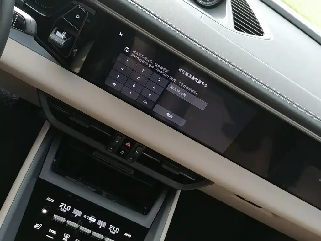 PORSCHE MACAN NEW ENERGY