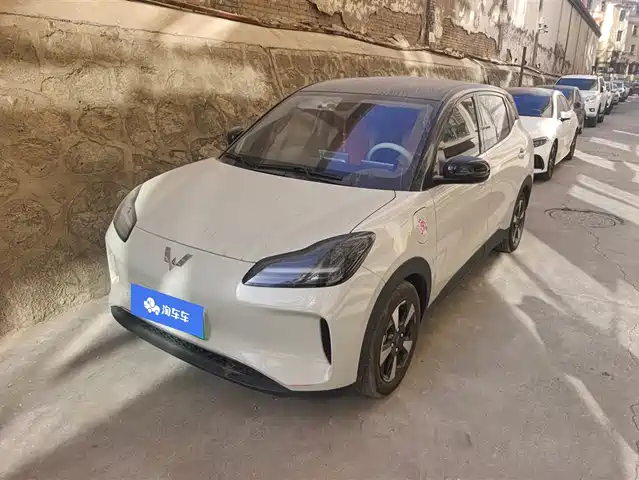 WULING WULING BINGGUO PLUS 2024