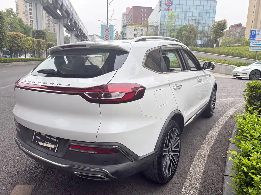 Leopaard Mattu — миниатюра 9