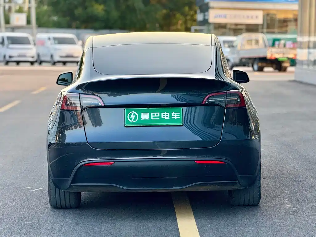Tesla Model Y — миниатюра 7