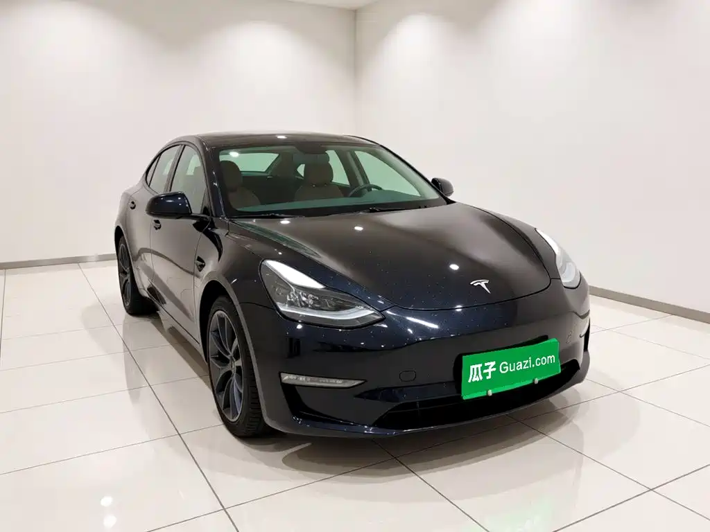 Tesla Model 3 — миниатюра 3