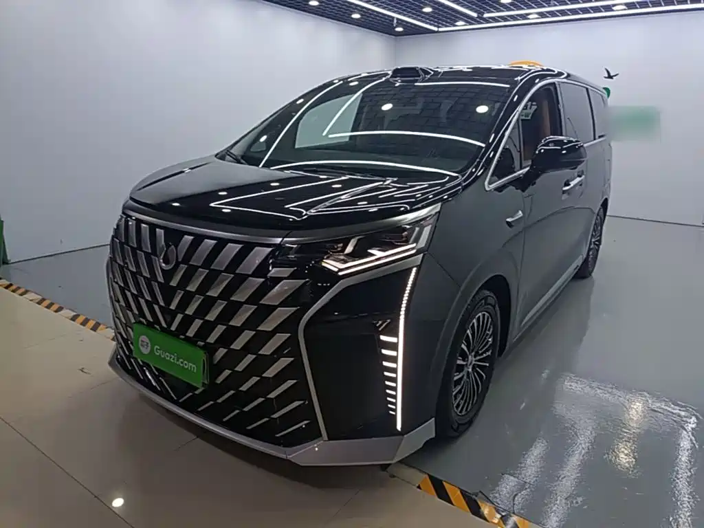 Denza D9
