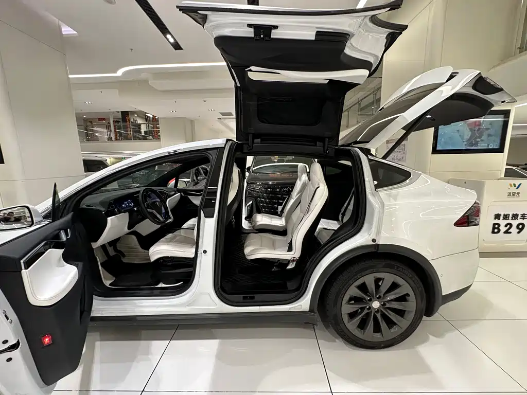 TESLA MODEL X