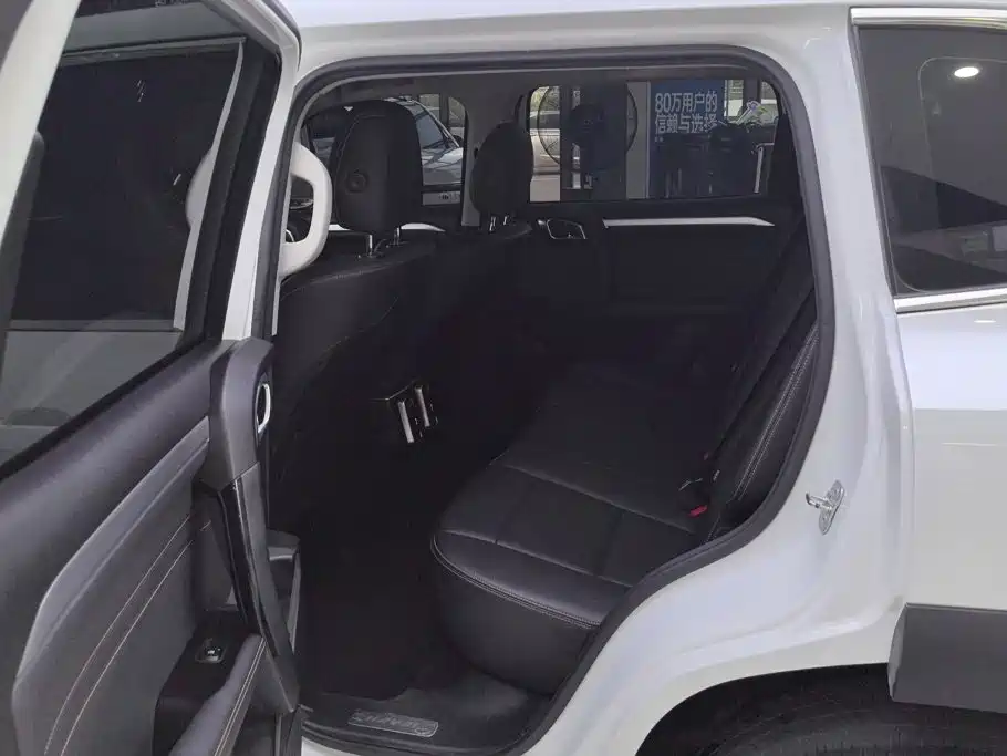 Haval Dargo 2.0T DCT 2WD Mid Splendid Hunt Dog Edition, фото 11