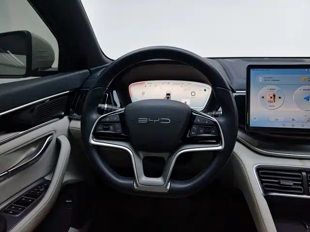BYD PLUS New Energy — миниатюра 10