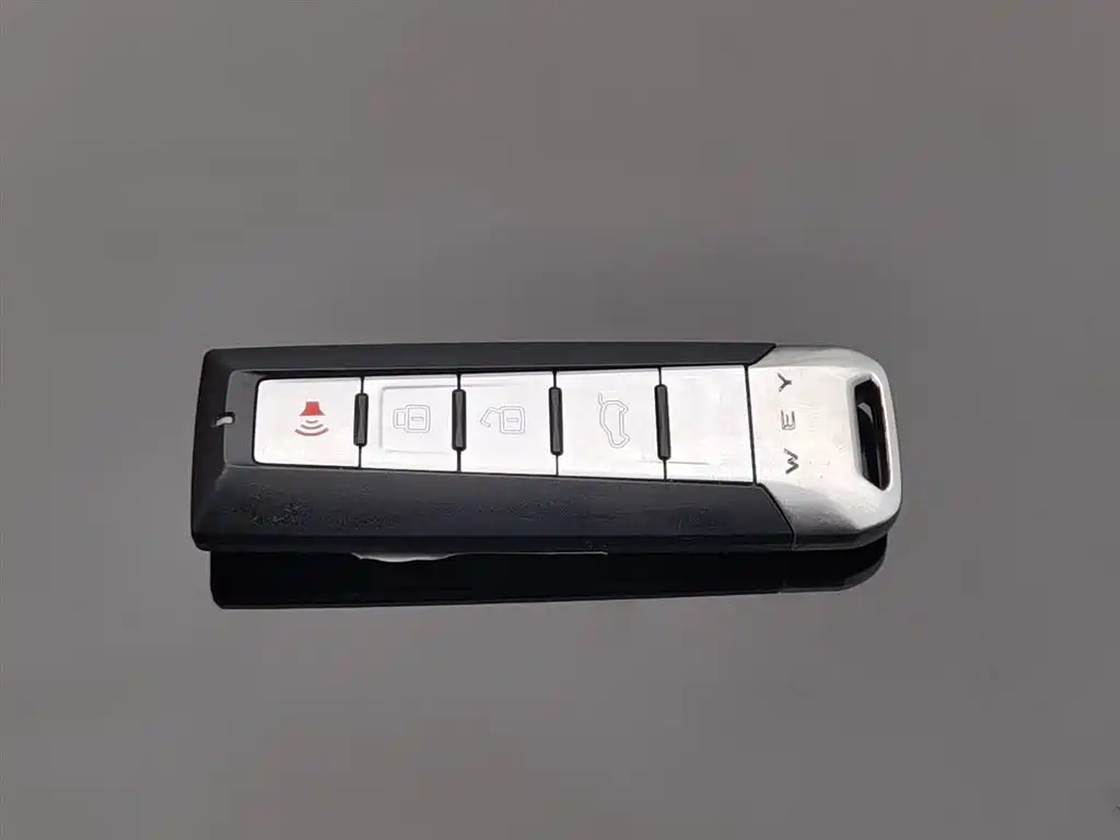 WEI PAI WEI BRAND VV6