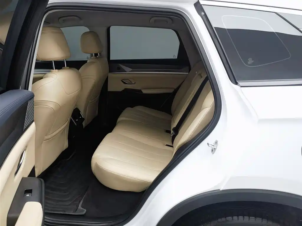 BYD SONGJIANG NEW ENERGY