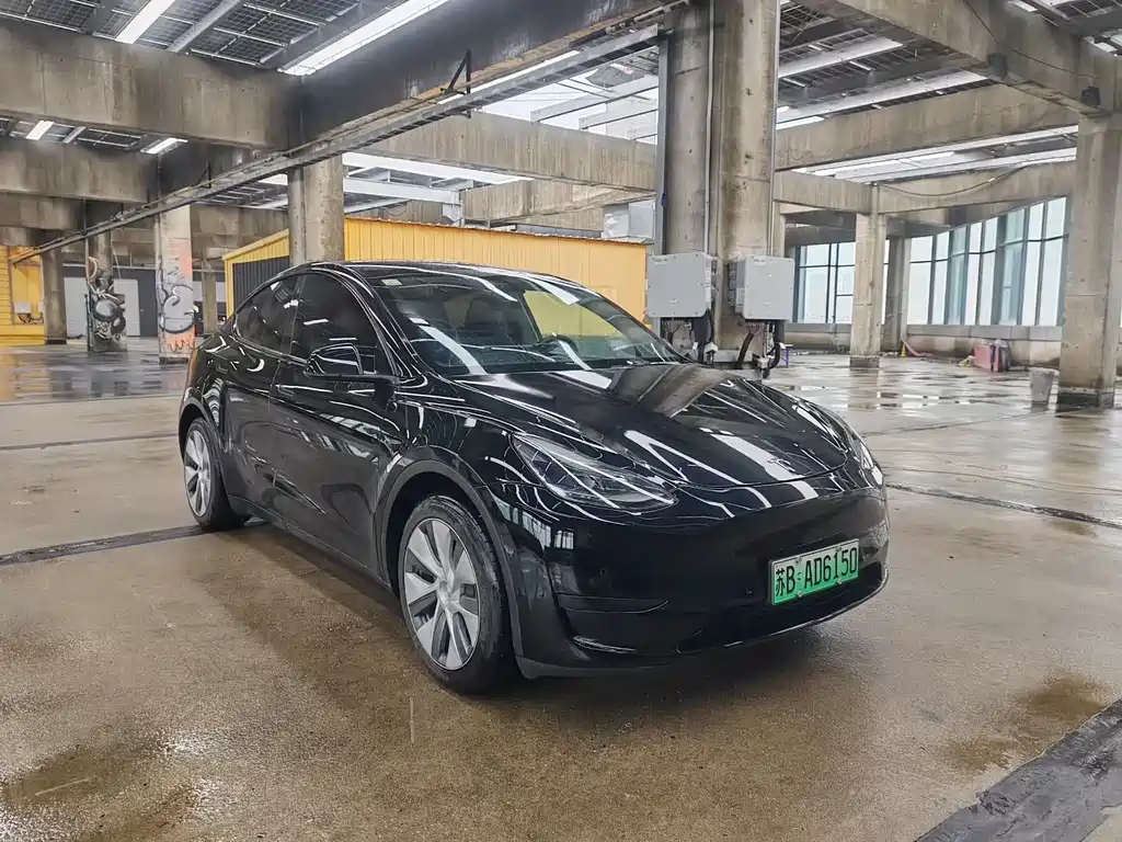 Tesla Model Y — миниатюра 3