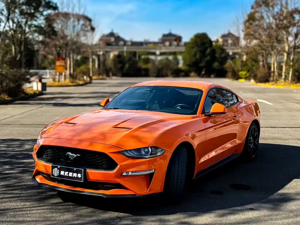 FORD MUSTANG