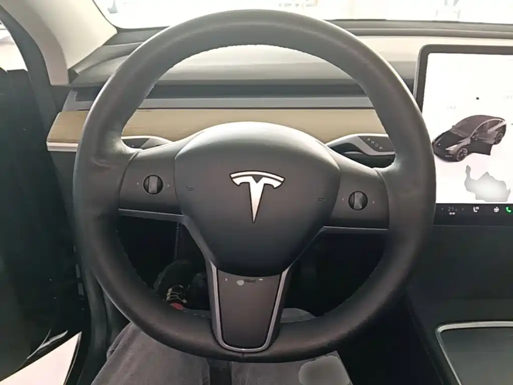 Tesla Model Y — миниатюра 11