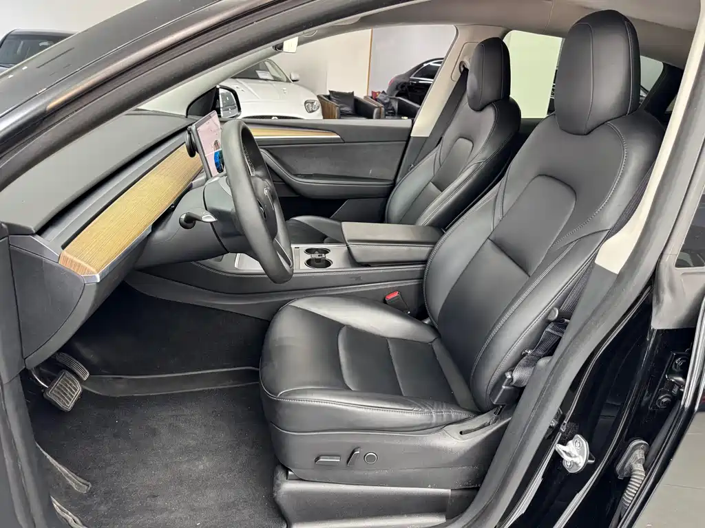 Tesla Model Y — миниатюра 6