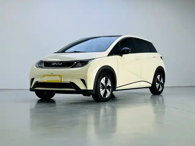 2023 BYD Dolphin