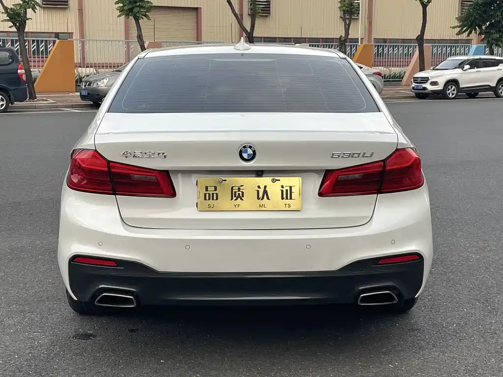 BMW 5 Series 5 2019 525Li M Sport