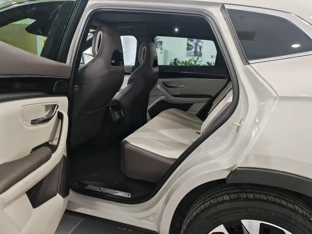 BYD SONGJIANG NEW ENERGY