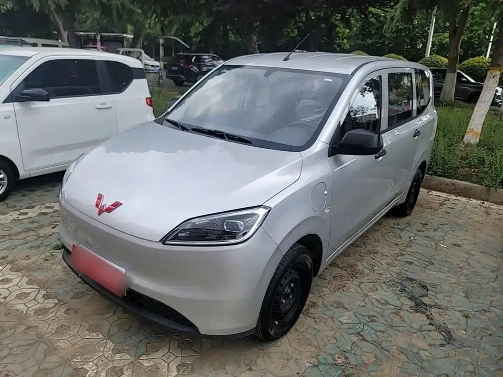 Wuling Hongguang NEV 2024 EV Edition 300KM Practical Type