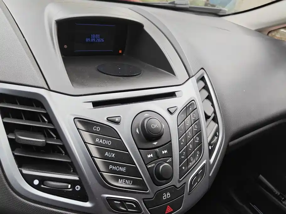 Ford Fiesta — миниатюра 13