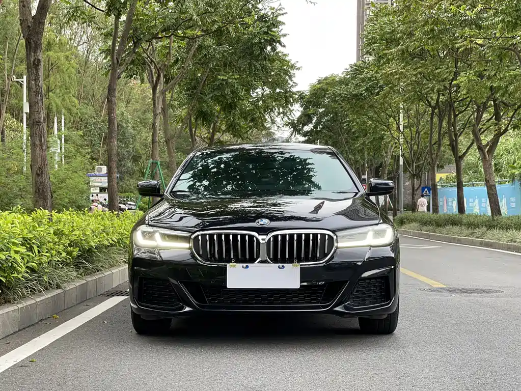 BMW 5 SERIES