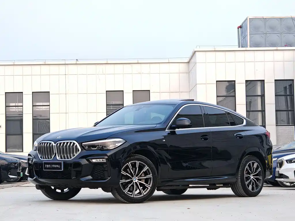 BMW X6 2021 xDrive30i M Sport