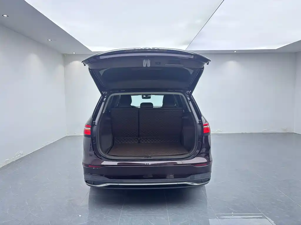 Volkswagen Viloran — миниатюра 4