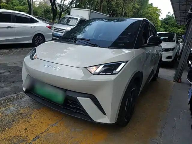2024 BYD Seagull