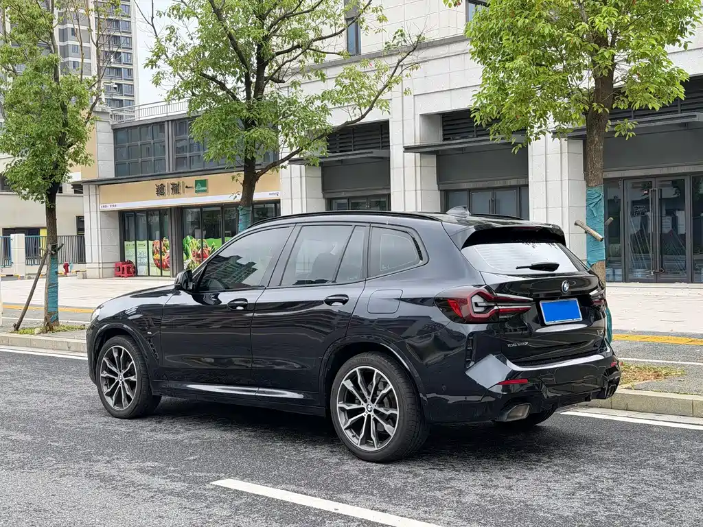 BMW X3 2023 xDrive30i Lead M