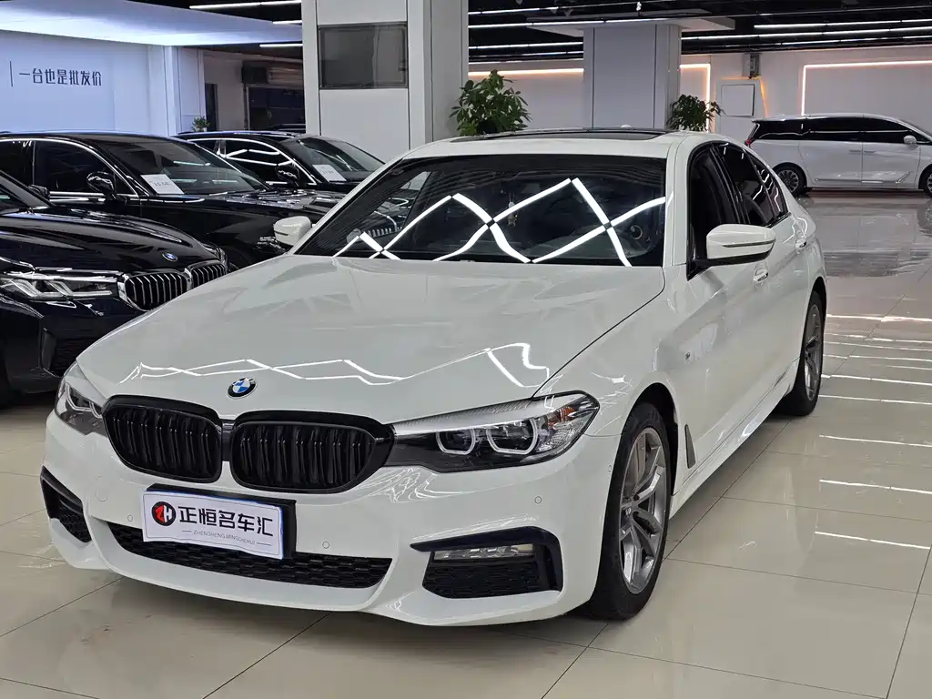 BMW 5 Series (Import) 2018
