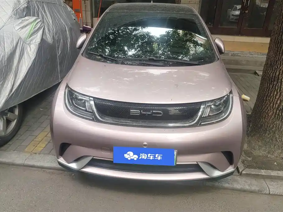 BYD DOLPHIN