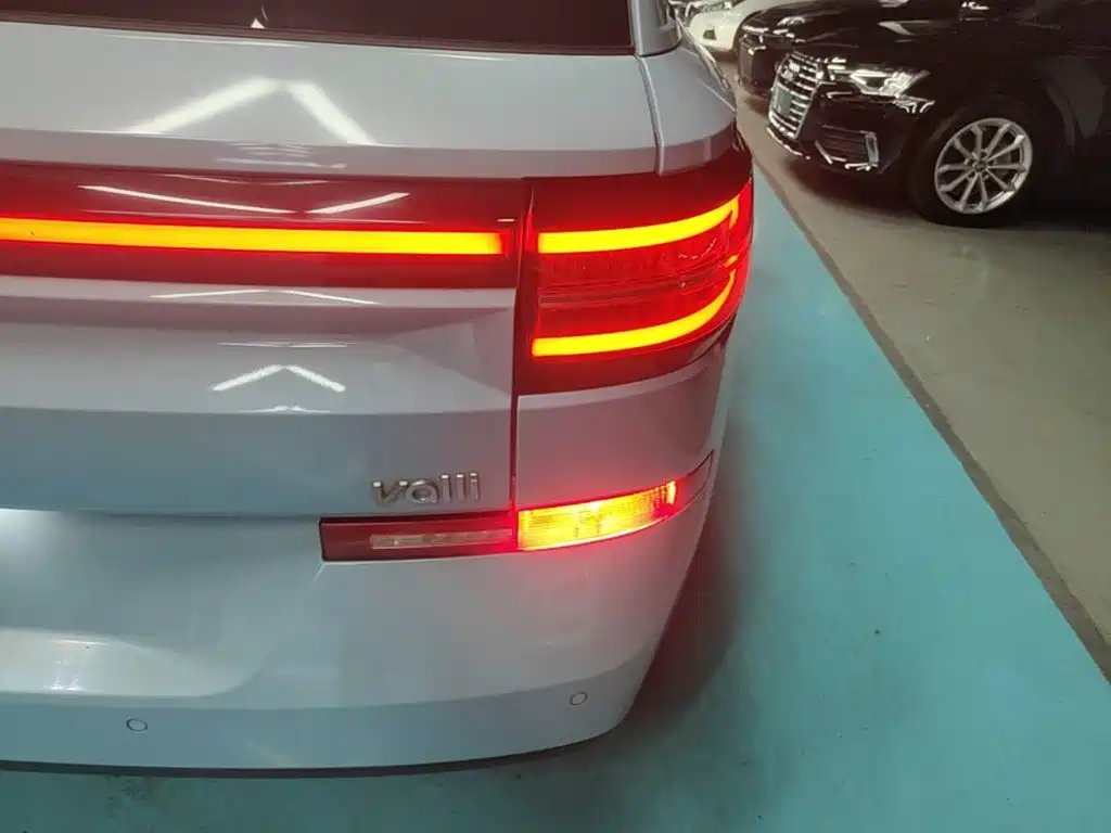 Baojun Valli — миниатюра 8