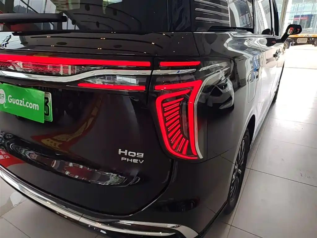 Hongqi HQ9 PHEV 2024 2.0T Luxury