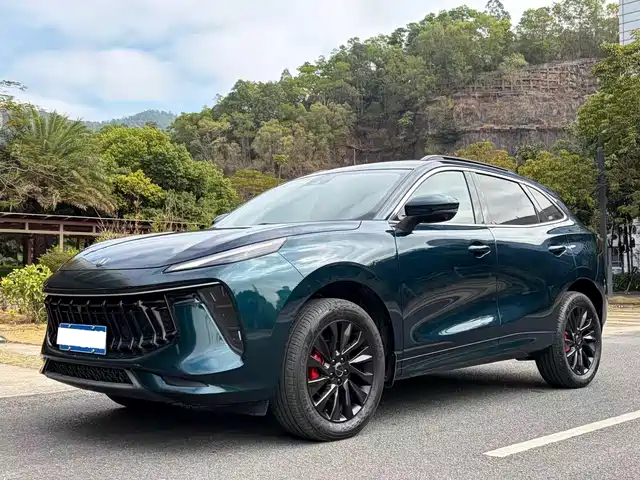 DONGFENG POPULAR T5 EVO