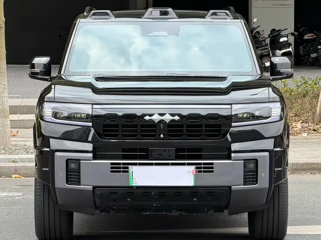 FANG CHENG BAO LEOPARD 8