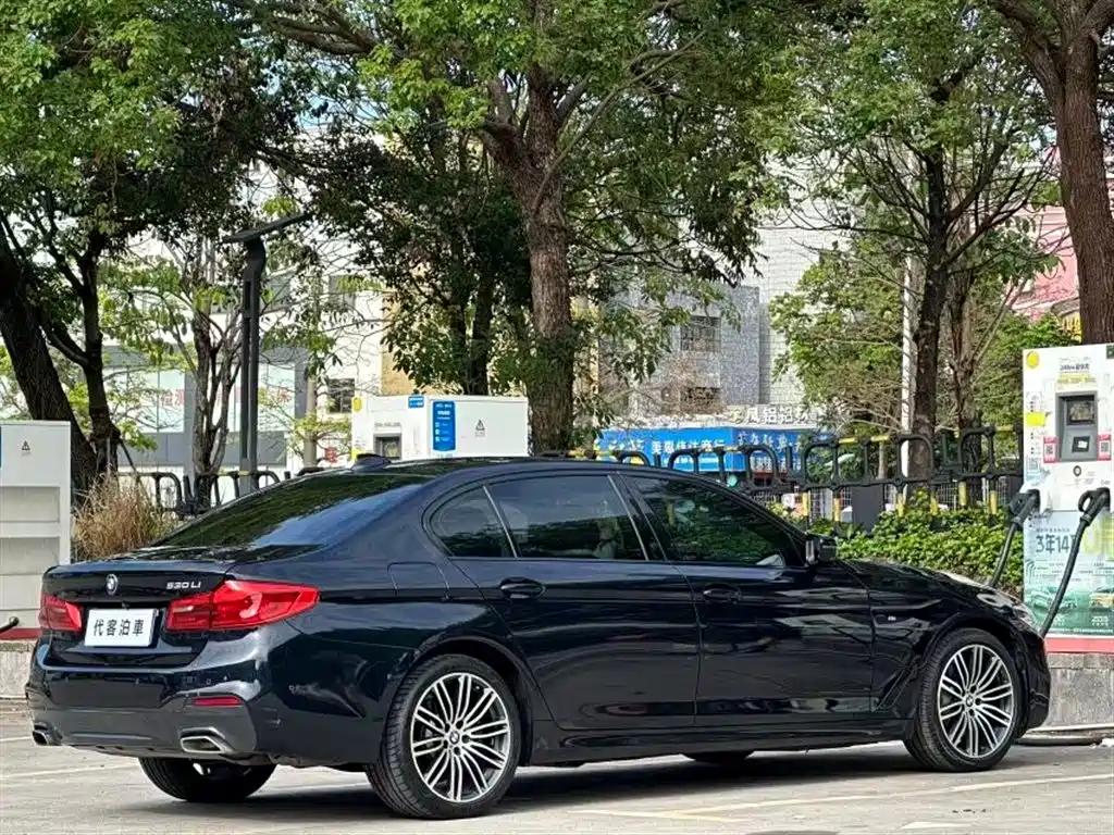 BMW 5 Series 5 2019 530Li Premium Luxury