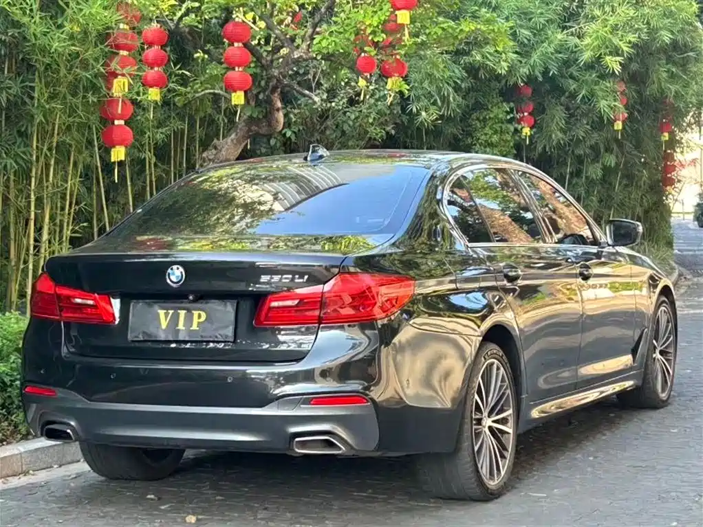BMW 5 Series 5 2019 530Li Lead M Sport