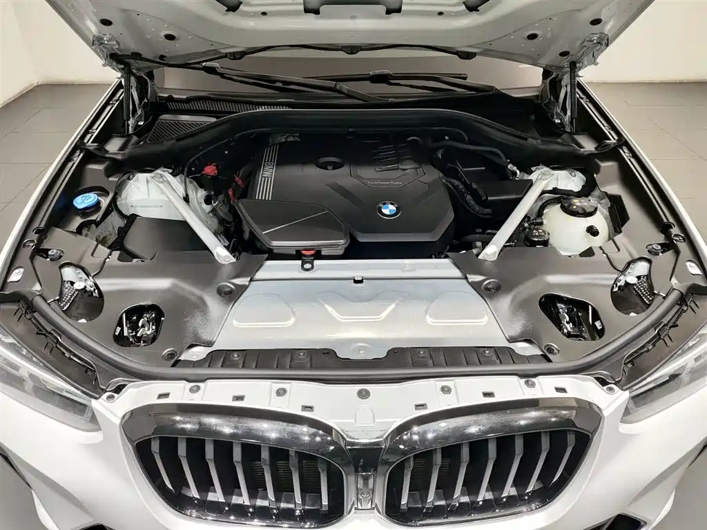 BMW X3 2022 xDrive30i Lead M