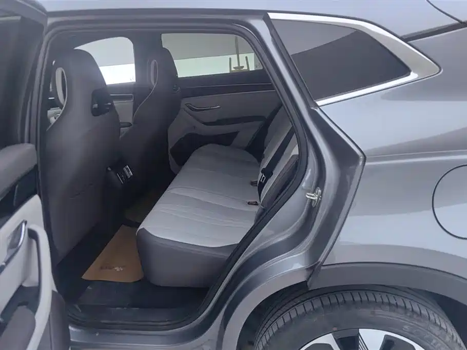 BYD SONGJIANG NEW ENERGY