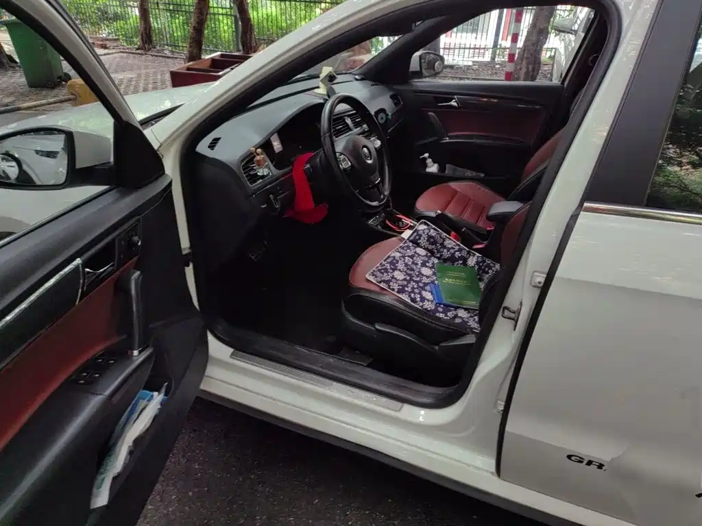 Volkswagen Gran Lavida — миниатюра 17