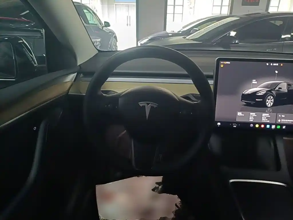 Tesla Model Y — миниатюра 11