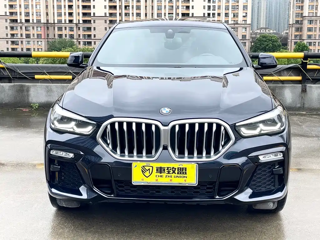 BMW X6 2021 xDrive30i M Sport