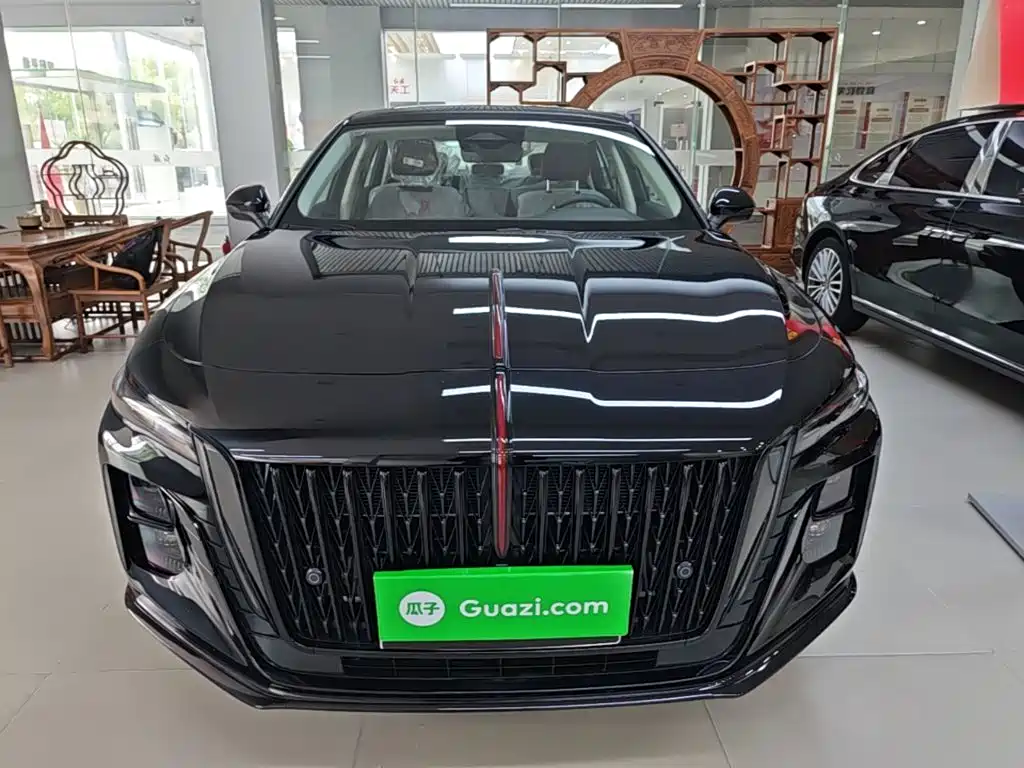 Hongqi Hongqi H5 — миниатюра 3