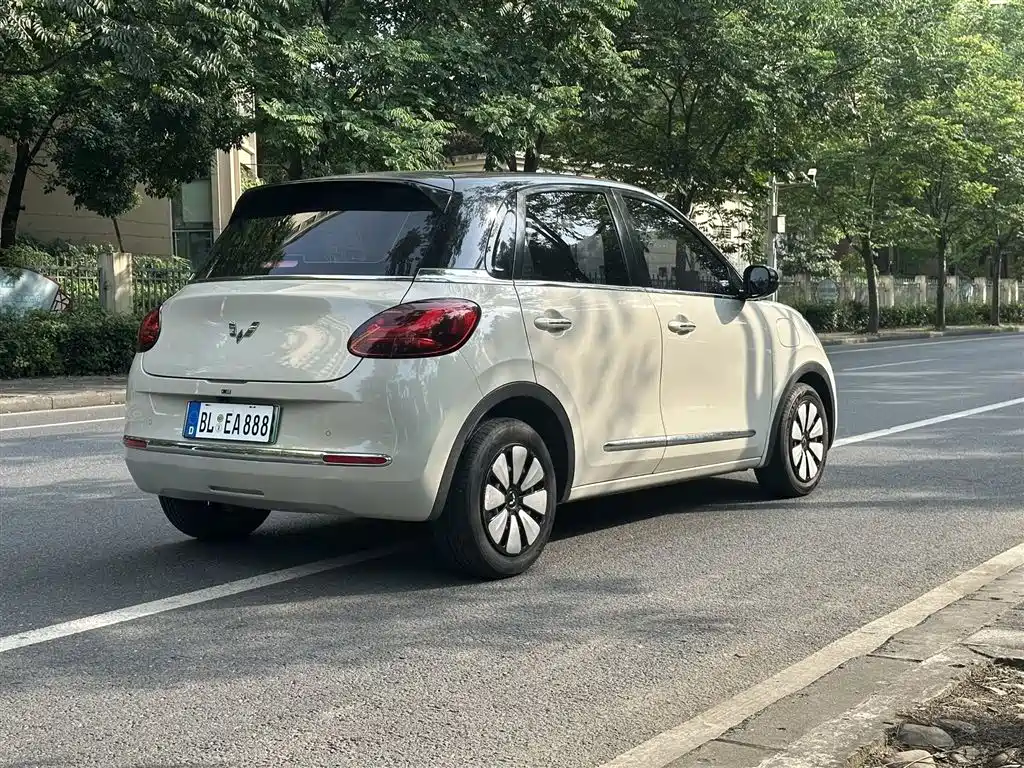 Wuling Binguo 2023 410km Premium