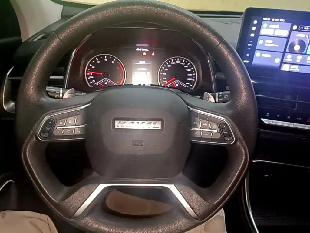 Haval H6 — миниатюра 11