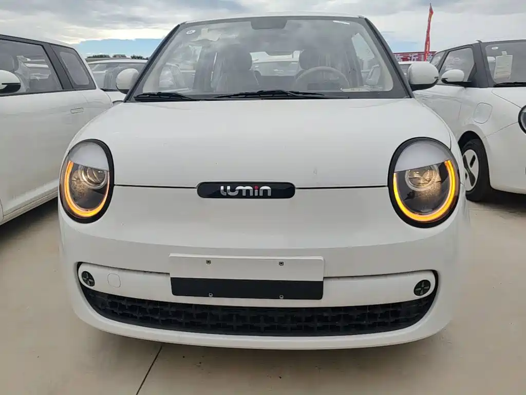 Qiyuan Lumin — миниатюра 3