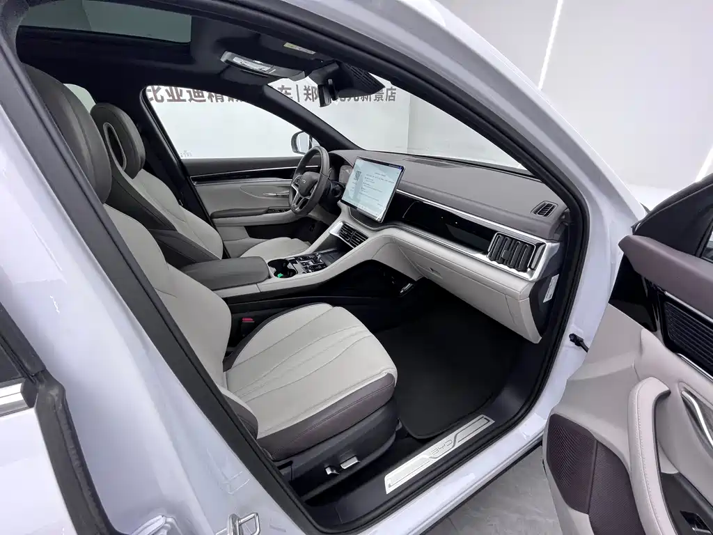 BYD PLUS New Energy — миниатюра 7